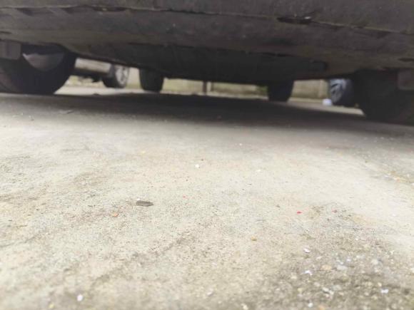 [南昌·赣A] 二手吉利汽车嘉际2019款 1.5TD MHEV DCT尊享型