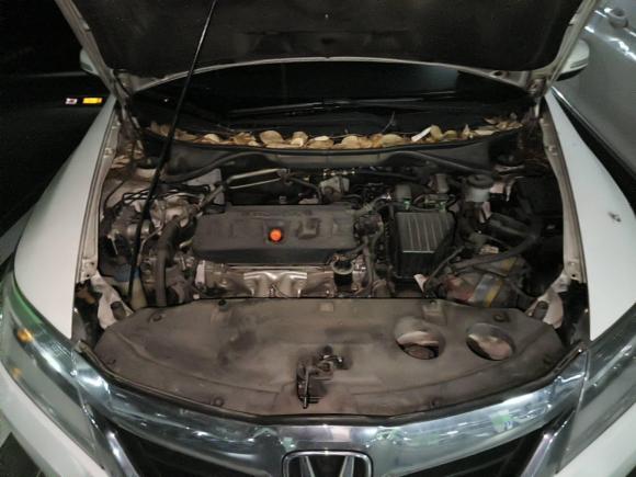 [成都·川A] 二手本田凌派2013款 1.8L 自动旗舰版