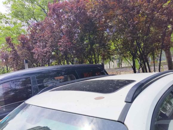 [上海·浙B] 二手中华中华V52016款 1.5T 手动两驱智能型