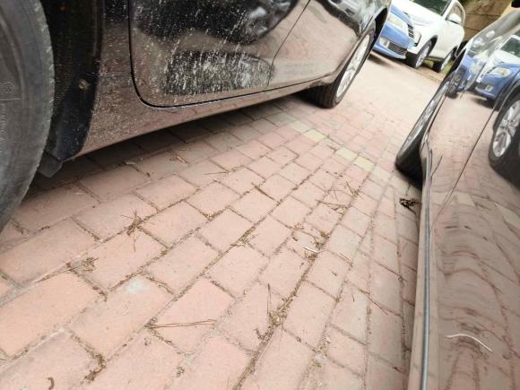 [青岛·鲁B] 二手丰田凯美瑞2016款 2.0E 十周年纪念精英版