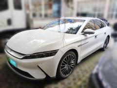 [温州·浙C] 比亚迪汉2021款 EV 标准续航版豪华型
