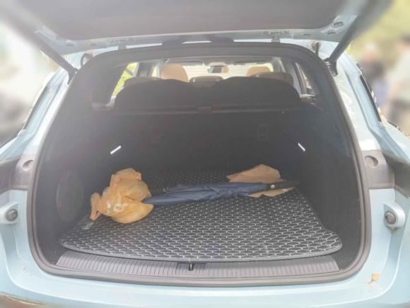 [武汉·鄂A] 二手岚图汽车岚图FREE2021款 四驱标准增程专属豪华套装