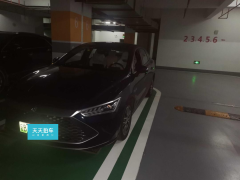 [深圳·粤B] 比亚迪秦PLUS2023款 冠军版 DM-i 55KM超越型