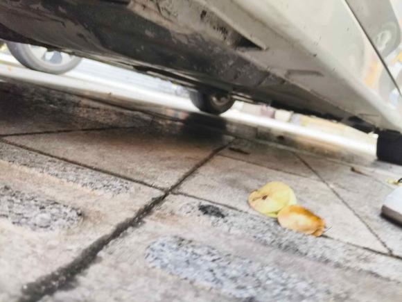 [温州·浙C] 二手本田雅阁2014款 2.0L LX 舒适版