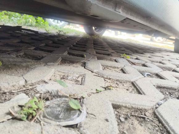 [南京·苏A] 二手欧拉欧拉黑猫2021款 351km 标准型