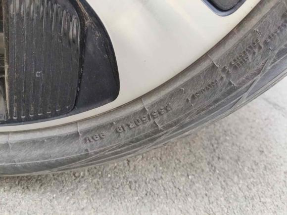 [嘉兴·浙F] 二手比亚迪宋PLUS新能源2021款 EV 尊贵型