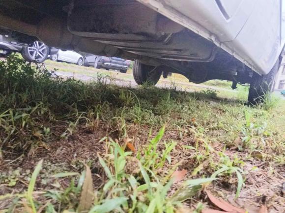 [苏州·苏U] 二手江铃特顺2019款 2.8T商运型长轴中顶6座后单胎国VI JX493