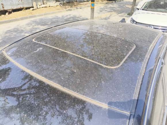 [北京·京N] 二手日产天籁2016款 改款 2.0L XL舒适版