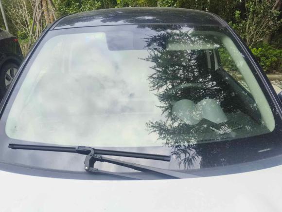 [上海·沪A] 二手欧拉欧拉黑猫2021款 351km 豪华型