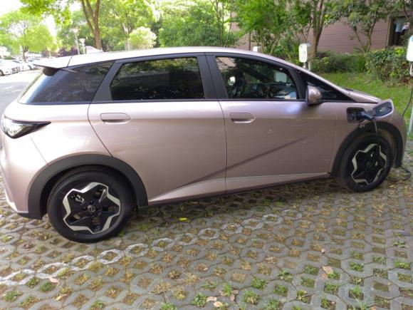 [上海·沪A] 二手比亚迪海豚2021款 405km 时尚版