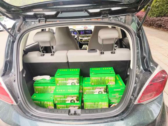 [宁波·浙B] 二手长安长安奔奔E-Star2020款 心悦版 磷酸铁锂（31.18kWh）