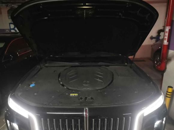 [深圳·粤B] 二手红旗红旗H92020款 3.0T 智联旗畅版