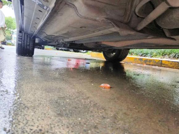 [苏州·苏E] 二手日产逍客2016款 2.0L CVT豪华版