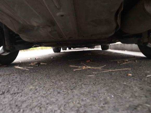 [苏州·冀D] 二手本田哥瑞2016款 1.5L 手动经典版