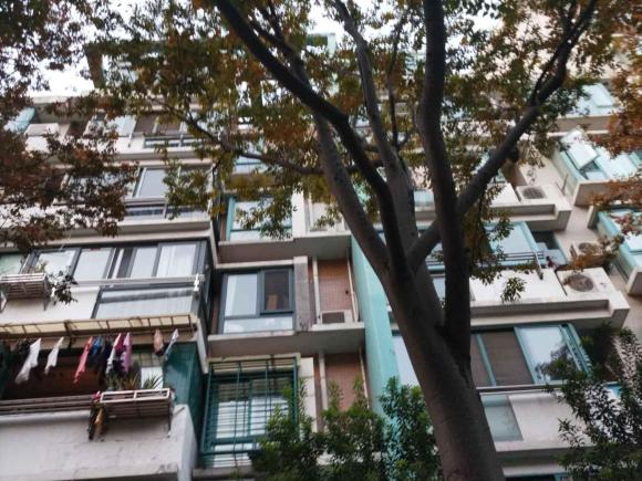 [上海·沪A] 二手领克领克01新能源2018款 1.5T PHEV 劲Pro 国V