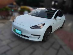 [深圳·粤B]特斯拉&nbsp;&nbsp;Model3&nbsp;&nbsp;2019款长续航后驱版