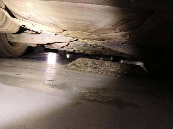 [武汉·鄂A] 二手斯柯达明锐2014款 1.6L 自动逸杰版