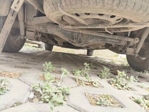 [成都·川A] 二手五菱汽车五菱宏光2019款 1.5L S标准型国VI LAR