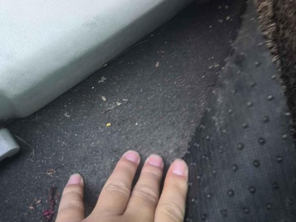 [常州·苏N] 二手北汽新能源北汽新能源EV2016款 EV160 轻快版