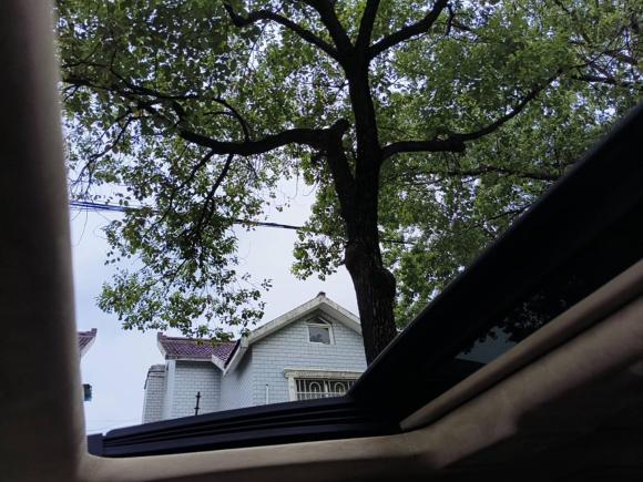 [上海·沪C] 二手奔驰奔驰S级2010款 S 600 L