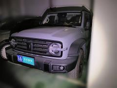 [南京·苏A] 坦克坦克3002021款 越野版 2.0T 征服者