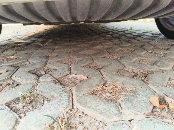 [上海·沪C] 二手奔驰奔驰E级2010款 E 260 L CGI优雅型