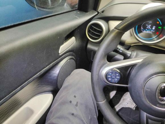 [上海·沪A] 二手欧拉欧拉黑猫2019款 351km 灵趣版