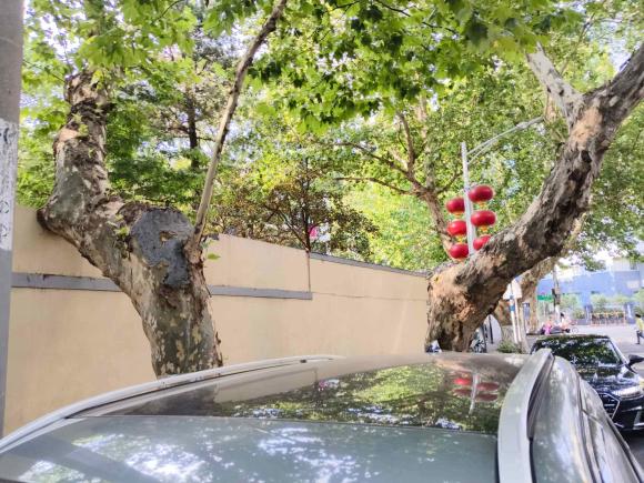 [南京·苏A] 二手路虎发现神行2018款 240PS SE版