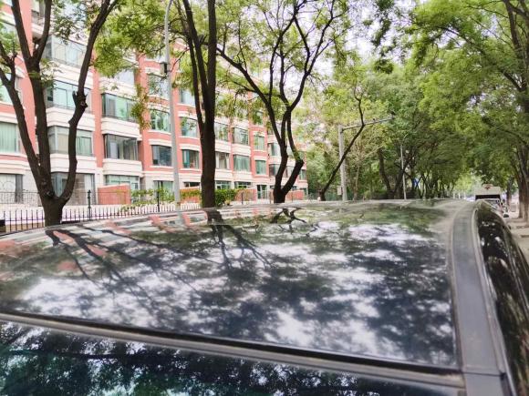 [北京·京N] 二手东风风行风行CM72014款 2.4L 手动行政型