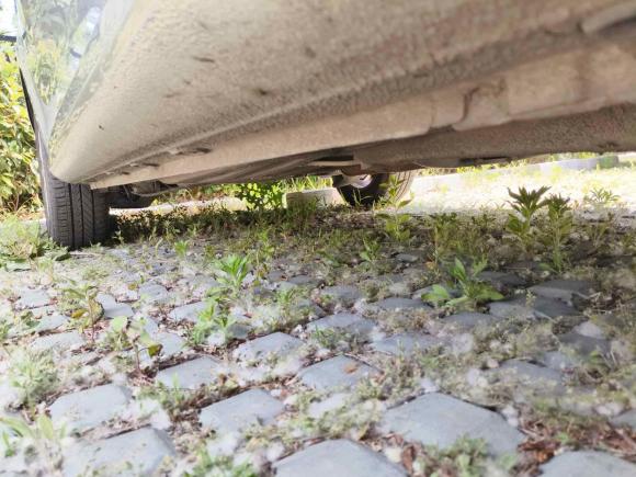 [青岛·鲁B] 二手大众宝来2012款 1.6L 自动舒适型