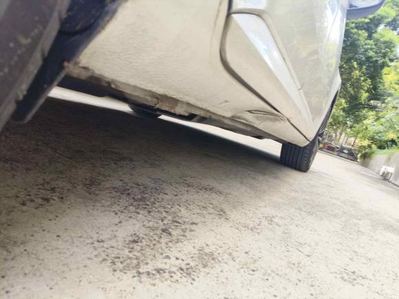 [上海·豫A] 二手斯柯达速派2019款 TSI280 DSG标准版