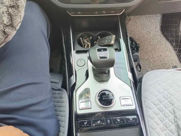 [青岛·鲁B] 二手红旗红旗HS52019款 2.0T 智联旗享版