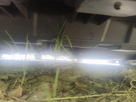 [上海·苏F] 二手别克别克GL82020款 陆上公务舱 652T 豪华型