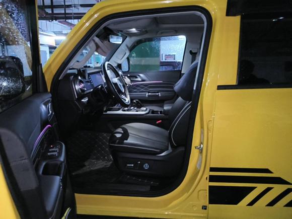 [上海·沪E] 二手坦克坦克3002022款 2.0T 边境限定版