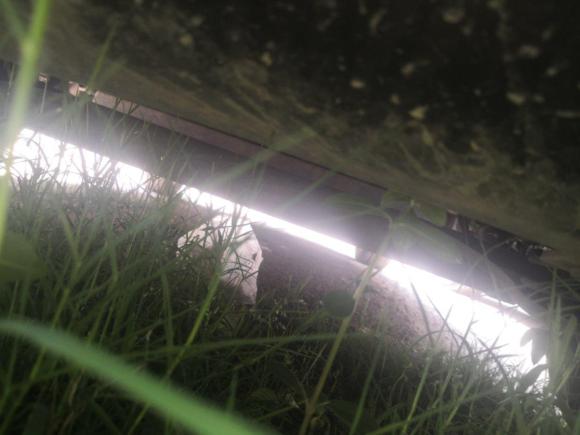 [金华·浙G] 二手比亚迪元新能源2018款 EV360 智联尚酷型