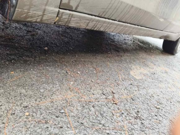 [广州·渝A] 二手别克英朗2021款 改款 典范 1.5L 自动精英型