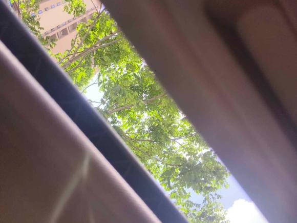 [杭州·浙A] 二手比亚迪秦新能源2017款 1.5T 尊贵型