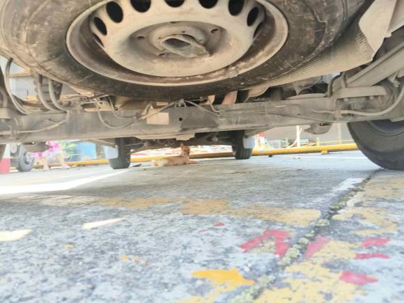 [上海·沪B] 二手福特全顺2017款 2.0T柴油多功能商用车中轴中顶国V