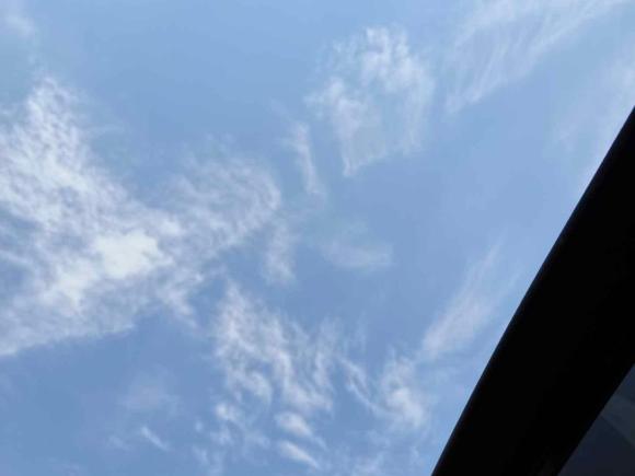 [上海·辽P] 二手福特锐际2020款 EcoBoost 245 四驱纵享款ST-LINE