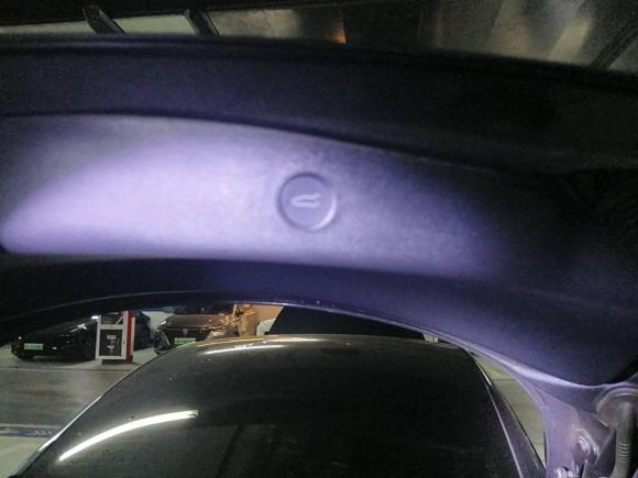 [上海·沪A] 二手特斯拉Model 32021款 Performance高性能全轮驱动版