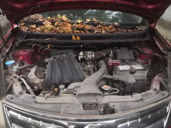 [武汉·鄂W] 二手日产骊威2010款 劲悦版 1.6L 手动超能型