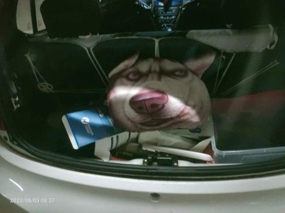 [上海·沪G] 二手奇瑞新能源奇瑞eQ2015款 舒适型