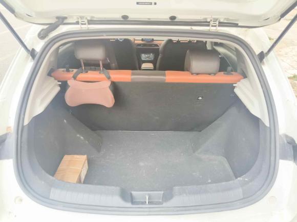 [温州·浙C] 二手比亚迪比亚迪e22021款 豪华型