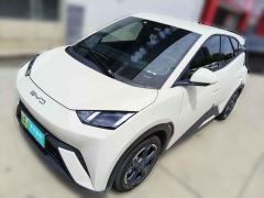 [武汉·鄂A] 比亚迪海鸥2023款 飞翔版