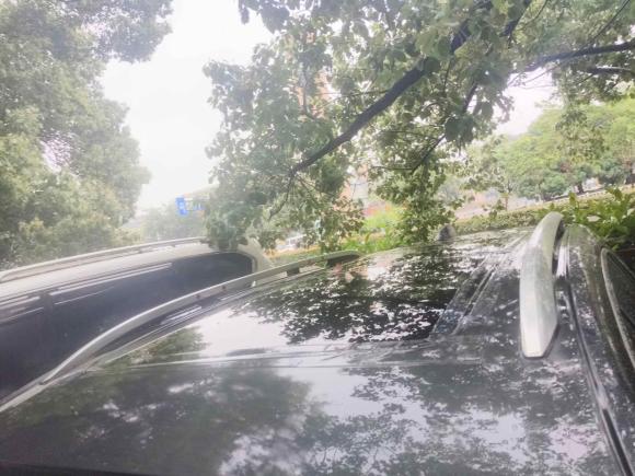 [杭州·浙A] 二手雪佛兰探界者2018款 535T 自动驭界版