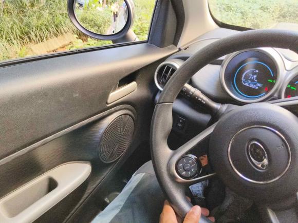 [杭州·浙A] 二手欧拉欧拉黑猫2021款 301km 基础型