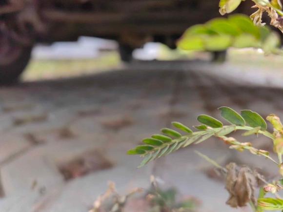 [上海·蒙A] 二手东风风行菱智2017款 M3L 1.6L 7座舒适型