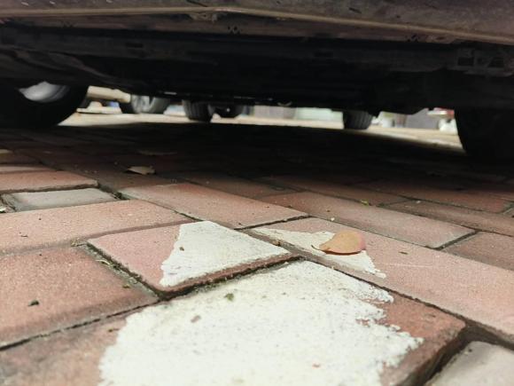 [嘉兴·苏E] 二手奥迪奥迪A72013款 50 TFSI quattro舒适型