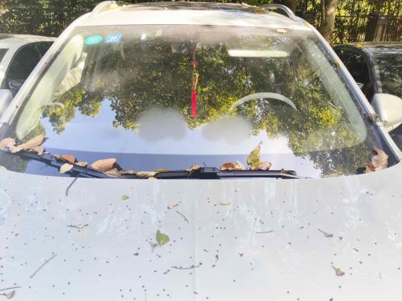 [上海·沪C] 二手荣威荣威RX5 MAX2019款 300TGI 自动4G互联豪华版