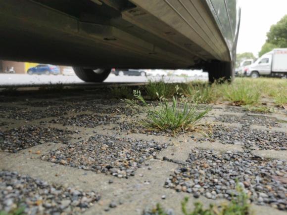 [南京·苏L] 二手比亚迪比亚迪e22021款 豪华型